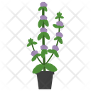 پیش‌نمایش فایل pennyroyal-potted-plant-1668166 از پک گیاهان آپارتمانی زینتی