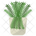 پیش‌نمایش فایل polypodium-potted-plant-1668229 از پک گیاهان آپارتمانی زینتی