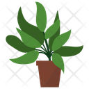 پیش‌نمایش فایل sage-potted-plant-1668194 از پک گیاهان آپارتمانی زینتی