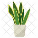 پیش‌نمایش فایل sansevieria-potted-plant-1668226 از پک گیاهان آپارتمانی زینتی