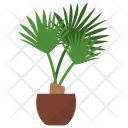 پیش‌نمایش فایل saw-palmetto-plant-1668150 از پک گیاهان آپارتمانی زینتی