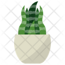 پیش‌نمایش فایل snake-plant-1668199 از پک گیاهان آپارتمانی زینتی