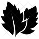 پیش‌نمایش فایل linden-leaves-1672686 از پک طراحی اکو با برگ سبز