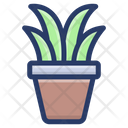 پیش‌نمایش فایل plant-pot-1724397 از پک وبلاگ‌نویسی ویدئویی و کپی‌رایتینگ