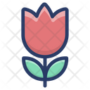 پیش‌نمایش فایل rose-flower-1762101 از پک عکاسی