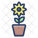 پیش‌نمایش فایل sunflower-1762118 از پک عکاسی