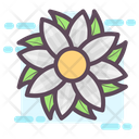 پیش‌نمایش فایل flower-1808333 از پک متفرقه