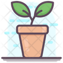 پیش‌نمایش فایل plant-pot-1808271 از پک متفرقه