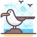 پیش‌نمایش فایل seagull-1808337 از پک متفرقه