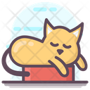 پیش‌نمایش فایل cat-animal-1814449 از پک متفرقه