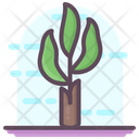 پیش‌نمایش فایل banana-tree-1815007 از پک متفرقه