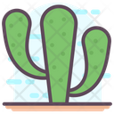 پیش‌نمایش فایل cactus-1814991 از پک متفرقه