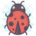 پیش‌نمایش فایل ladybird-1814972 از پک متفرقه