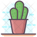 پیش‌نمایش فایل cactus-1815226 از پک متفرقه