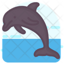پیش‌نمایش فایل dolphin-1815250 از پک متفرقه