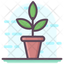 پیش‌نمایش فایل flower-pot-1814526 از پک متفرقه