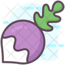 پیش‌نمایش فایل turnip-1814483 از پک متفرقه