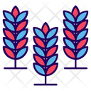 پیش‌نمایش فایل barley-1817942 از پک پاییز