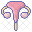 پیش‌نمایش فایل female-uterus-1862520 از پک مراقبت بهداشتی و پزشکی