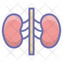 پیش‌نمایش فایل human-kidneys-1862528 از پک مراقبت بهداشتی و پزشکی