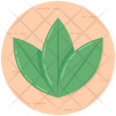 پیش‌نمایش فایل leaves-1876942 از پک ضروریات اولیه