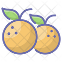 پیش‌نمایش فایل oranges-1879954 از پک غذا و نوشیدنی