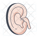 پیش‌نمایش فایل ear-1890221 از پک کسب و کار