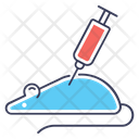 پیش‌نمایش فایل lab-rat-1916979 از پک آموزش و علم