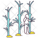 پیش‌نمایش فایل bamboo-forest-1965638 از پک طبیعت و فضای باز