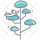 پیش‌نمایش فایل broadleaf-tree-1965676 از پک طبیعت و فضای باز