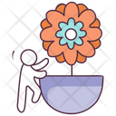 پیش‌نمایش فایل daisy-flower-1965632 از پک طبیعت و فضای باز