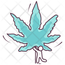 پیش‌نمایش فایل maple-leaf-1965640 از پک طبیعت و فضای باز