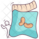 پیش‌نمایش فایل seeds-bag-1965660 از پک طبیعت و فضای باز