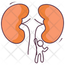 پیش‌نمایش فایل human-kidneys-1966464 از پک مراقبت سلامت و پزشکی