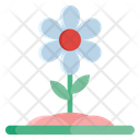 پیش‌نمایش فایل spring-flower-1972370 از پک خانه خانواده، بچه‌ها و دوستان