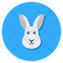 پیش‌نمایش فایل bunny-1995364 از پک متفرقه