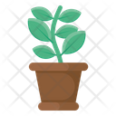 پیش‌نمایش فایل plant-pot-2045651 از پک آموزش و مدرسه