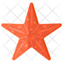 پیش‌نمایش فایل starfish-2048732 از پک سفر و هتل‌ها