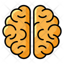 پیش‌نمایش فایل brain-2054868 از پک علم و پزشکی