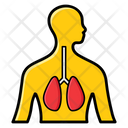 پیش‌نمایش فایل respiratory-system-2054852 از پک علم و پزشکی