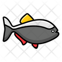 پیش‌نمایش فایل fish-2059251 از پک غذا و نوشیدنی