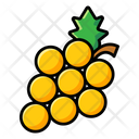 پیش‌نمایش فایل grapes-2059183 از پک غذا و نوشیدنی
