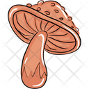 پیش‌نمایش فایل mushroom-2084328 از پک غذا و نوشیدنی
