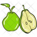 پیش‌نمایش فایل pear-2084338 از پک غذا و نوشیدنی