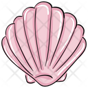 پیش‌نمایش فایل seashell-2083860 از پک فصل