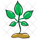 پیش‌نمایش فایل sprout-2083804 از پک فصل