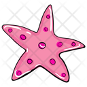 پیش‌نمایش فایل starfish-2102974 از پک سفر و تعطیلات
