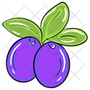 پیش‌نمایش فایل java-plum-2103081 از پک طبیعت و محیط زیست