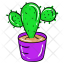 پیش‌نمایش فایل succulent-plant-2103084 از پک طبیعت و محیط زیست