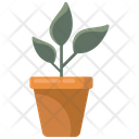 پیش‌نمایش فایل houseplant-2112622 از پک خانه و زندگی